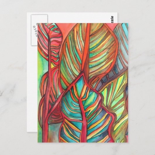 Sinaasappel Canna verlaat waterverf oorspronkelijk Briefkaart (Voorkant / Achterkant)