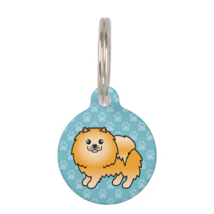 Sinaasappel Cartoon Pomeranian Hond En Huisdier In Huisdierpenning