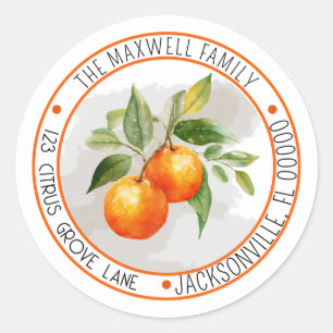 Sinaasappel Citrus Fruit Cirkel Retouradres Ronde Sticker