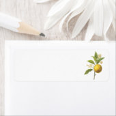 sinaasappel (Citrus sp.) van Redouté Etiket (Insitu)