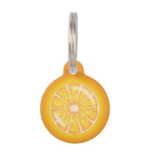 Sinaasappel citrus vrucht schijf met huisdier's aa