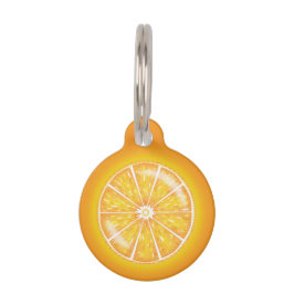 Sinaasappel citrus vrucht schijf met huisdier's aa huisdierpenning