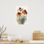 Sinaasappel Coneflowers Art Print Poster (Keuken)