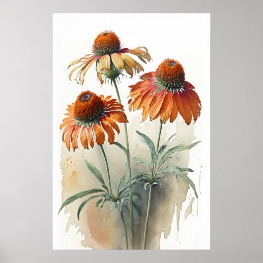 Sinaasappel Coneflowers Art Print Poster (Voorkant)