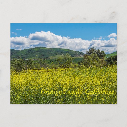 Sinaasappel County California Briefkaart (Voorkant)