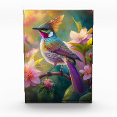Sinaasappel Crested Rainbow Jay Fantasy Bird Fotoblokken (Voorkant)