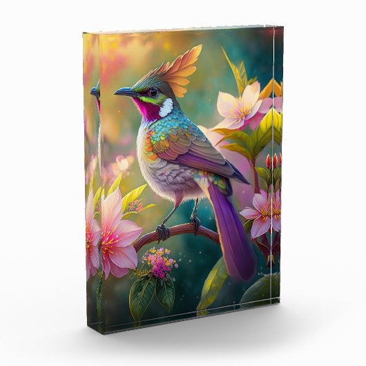 Sinaasappel Crested Rainbow Jay Fantasy Bird Fotoblokken (Links)