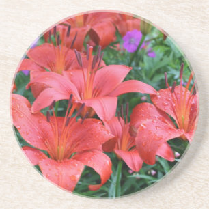 Sinaasappel Dag Lilies Floral Onderzetter