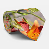 Sinaasappel daglelies das (Opgerold)