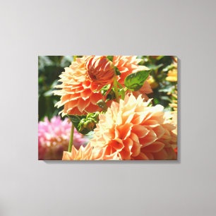 Sinaasappel Dahlia Bloemen Canvas Fotografie Print