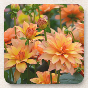 Sinaasappel dahlia bloementuin onderzetter