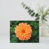Sinaasappel Dahlia - Bloer en tuin Briefkaart (Staand voorkant)