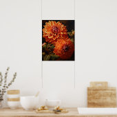 Sinaasappel Dahlia Flowers Art Print Poster (Keuken)