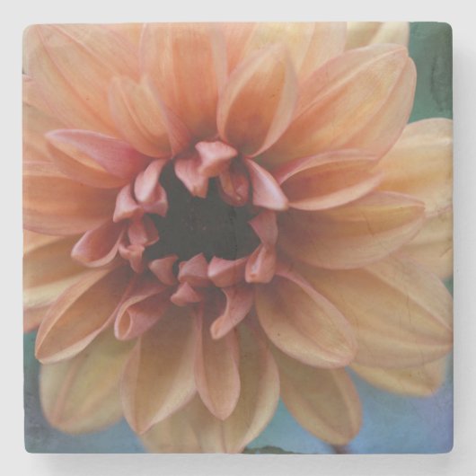 Sinaasappel Dahlia I Stenen Onderzetter (Voorkant)