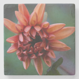 Sinaasappel Dahlia II Stenen Onderzetter