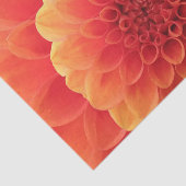 Sinaasappel Dahlia Tissuepapier (Detail)