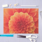 Sinaasappel Dahlia Tissuepapier (Craft)