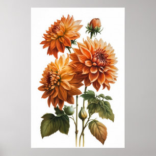 Sinaasappel Dahlias Bloemenkunst Print Poster