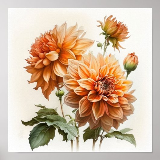 Sinaasappel Dahlias Bloemenkunst Print Poster (Voorkant)