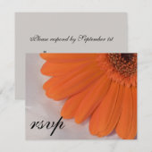 Sinaasappel Daisy and White Satin Wedding RSVP Kaa (Voorkant / Achterkant)