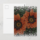 Sinaasappel Daisy Balls Briefkaart (Voorkant / Achterkant)