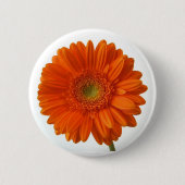 Sinaasappel Daisy Button (Voorkant)