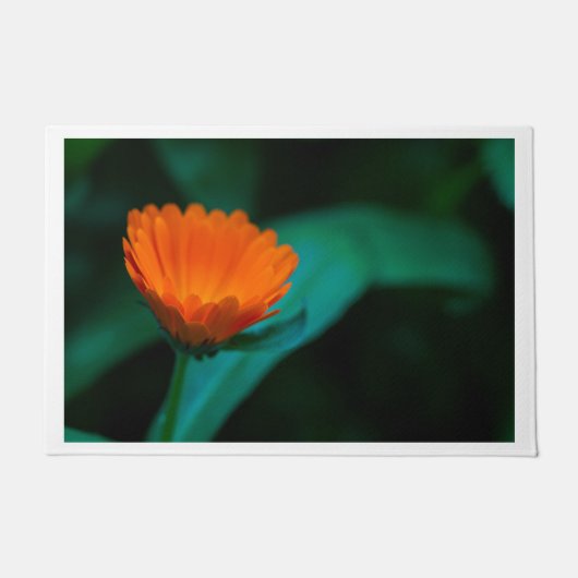 Sinaasappel Daisy Door Mat (Voorkant)