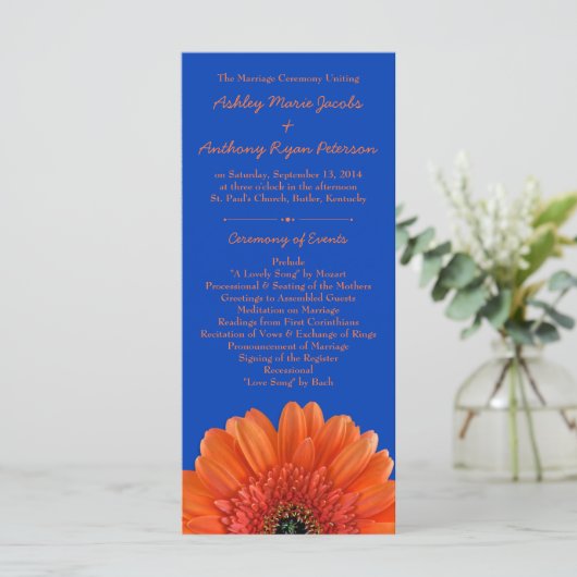 Sinaasappel Daisy Flower Royal Blue bruiloft progr Programmakaart (Staand voorkant)
