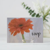 Sinaasappel Daisy in Vase Wedding RSVP Response Ka (Staand voorkant)