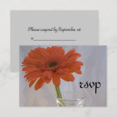 Sinaasappel Daisy in Vase Wedding RSVP Response Ka (Voorkant / Achterkant)