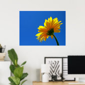 Sinaasappel Daisy Poster (Thuiskantoor)