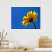 Sinaasappel Daisy Poster (Keuken)