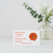 Sinaasappel Daisy Visitekaartje (Staand voorkant)