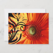 Sinaasappel Daisy Wedding RSVP Kaartje (Achterkant)