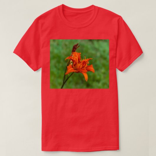 Sinaasappel Daylily 2 T-shirt (Design voorkant)