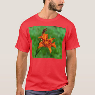 Sinaasappel Daylily 2 T-shirt