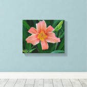 Sinaasappel Daylily Canvas Afdruk (Insitu (Houten vloer))