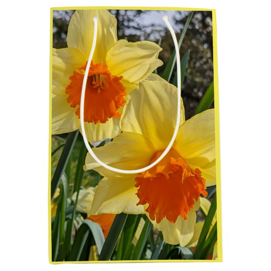 Sinaasappel en geel graan medium cadeauzakje (Voorkant)