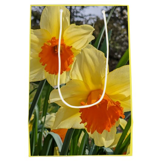 Sinaasappel en geel graan medium cadeauzakje (Achterkant)