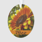 Sinaasappel en geel Ornament (voorkant)