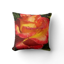 Sinaasappel en Gele Roos