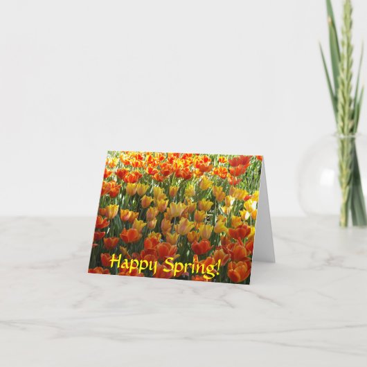 Sinaasappel en gele tulpen Note Cards Kaart (Voorkant)