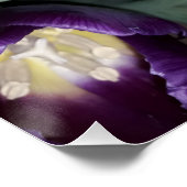 Sinaasappel en paarse bloemen perfect poster (Hoek)