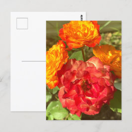 Sinaasappel en rode bloementuin briefkaart