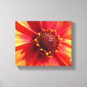 Sinaasappel en Rode Dahlia Canvas Afdruk (Voorkant)