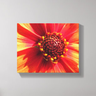 Sinaasappel en Rode Dahlia Canvas Afdruk