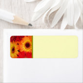 Sinaasappel en Rode Gerber Daisies Etiket (Insitu)