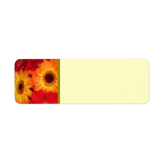 Sinaasappel en Rode Gerber Daisies Etiket (Voorkant)