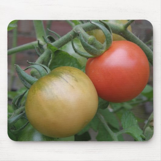 Sinaasappel en rode tomaten Mousepad Muismat (Voorkant)