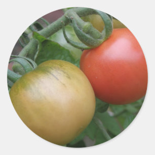 Sinaasappel en rode tomaten ronde sticker